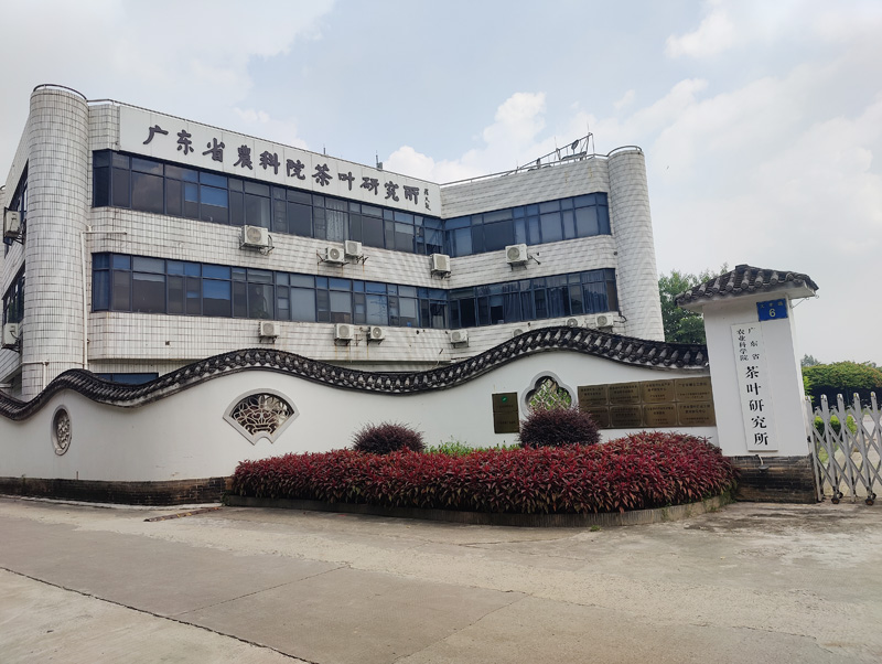 卓水越常規分析型超純水機案例分享之廣東省農科院茶葉研究所篇